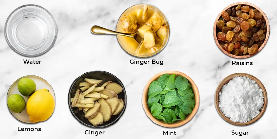 Ingredients for Homemade Alcoholic Ginger Beer Recipe