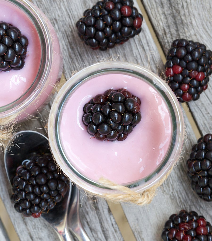 Mary Berry Wild Bramble Mousse Recipe