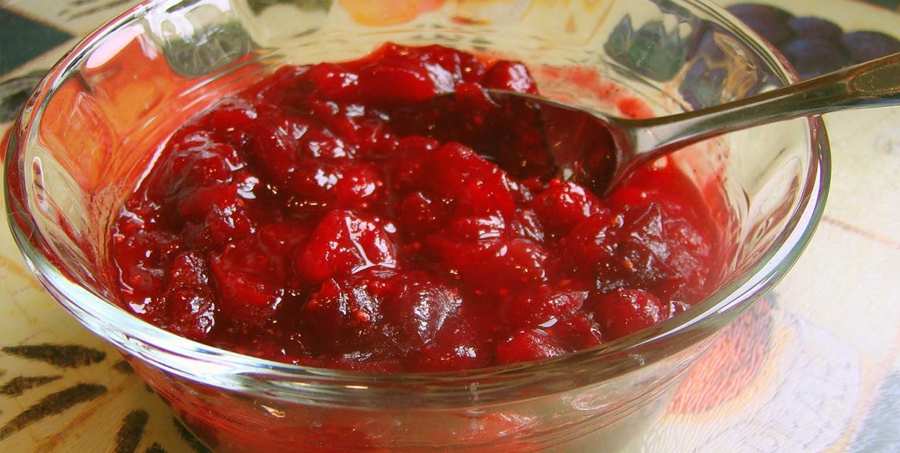 What To Serve With Cranberry Sauce Recipe Ocean Spray?