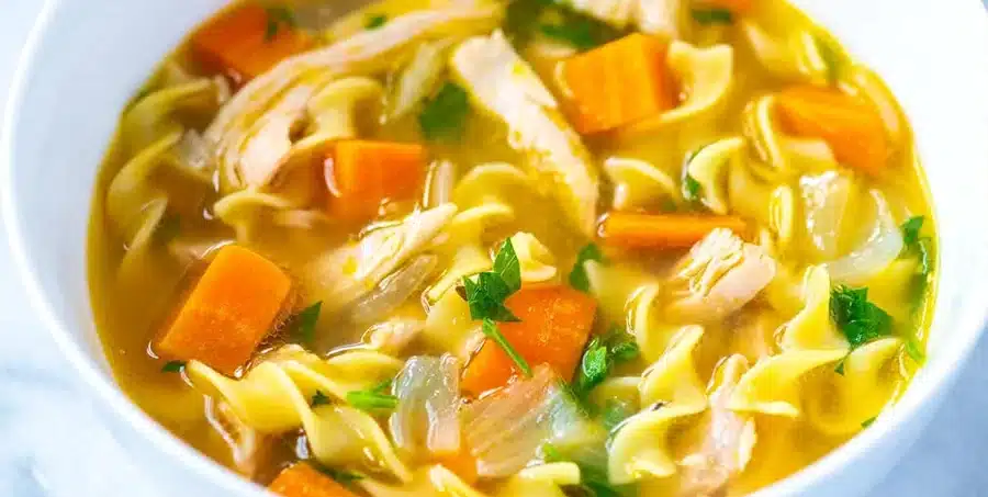 Winter Special Chicken Noodle Soup Recipe Nutrition Facts